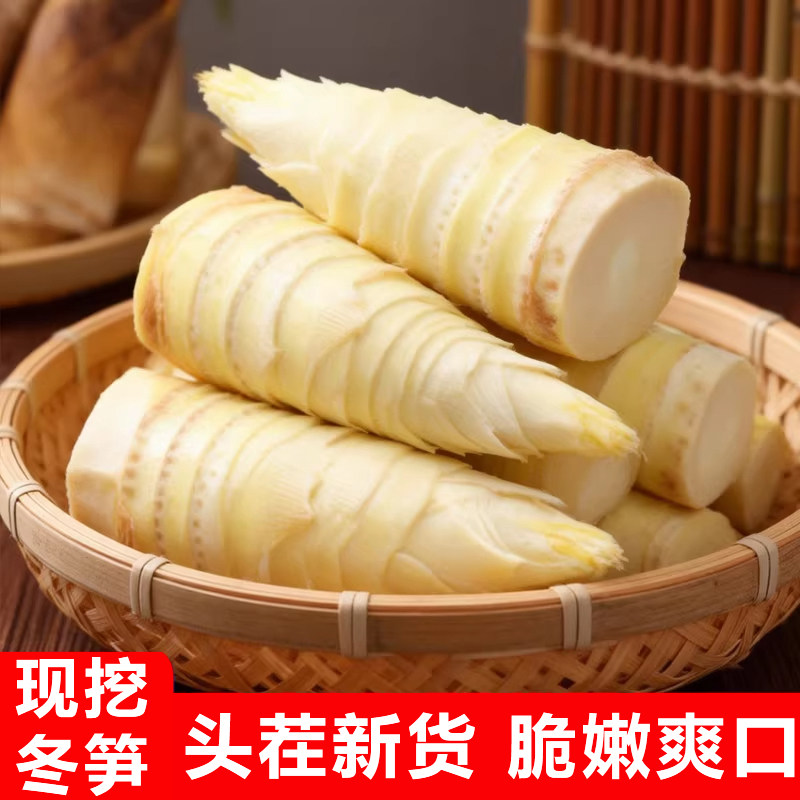 浙江锄头挖新鲜冬笋专用现挖5斤10斤临安春笋江西竹笋清水煮野生