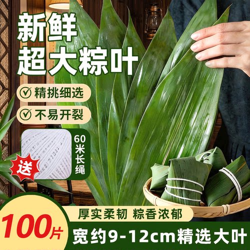 粽子叶粽叶新鲜箬叶真空包装端午节包粽子大叶子宽材料大号旗舰店