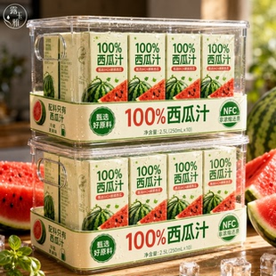 100%西瓜汁果汁鲜榨浓缩夏季天解暑饮料旗舰店无菌高温清甜冰饮品