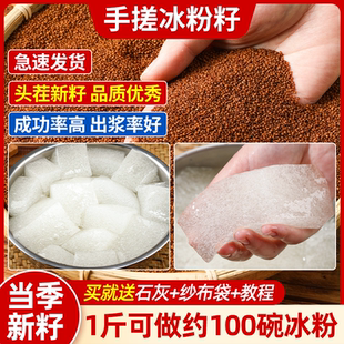 正宗四川手搓冰粉籽官方旗舰店家用批发材料免石灰配料全套冰粉籽