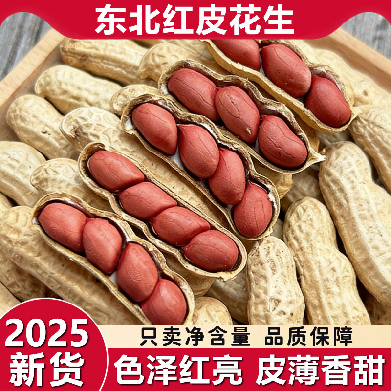 东北红皮花生2025新货