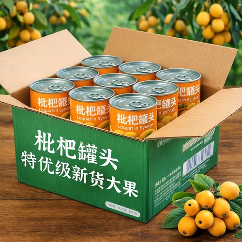 无添加糖水即食枇杷黄桃罐头大果