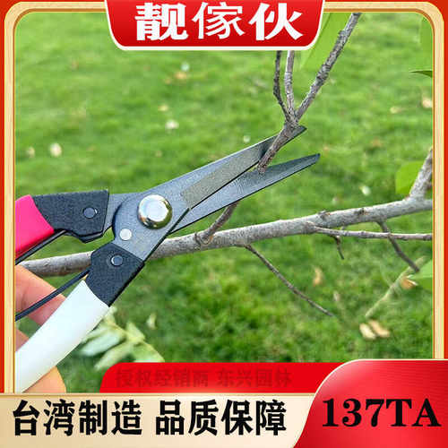 加长刃137TA叶芽剪刀靓傢伙