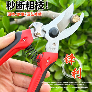 台湾佐川吉782/752/762 尖嘴果树剪台湾摘果修枝剪果树剪佐川吉修