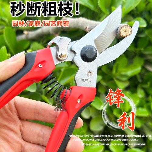 台湾佐川吉782/752/762 尖嘴果树剪台湾摘果修枝剪果树剪佐川吉修