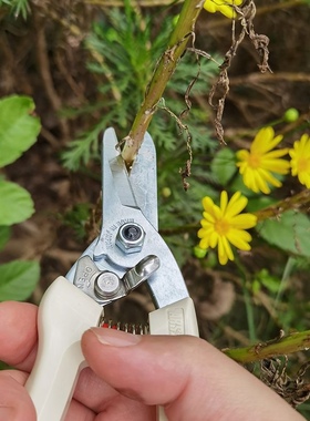 日本爱丽斯ARS140DX进口园艺插花剪子修剪剪刀花卉盆景