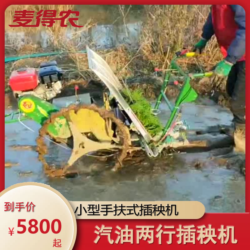 双行汽油手摇小型水稻插秧机