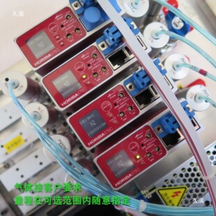 horiba D519MG气体质量流量控制器 真空CVD MFC流量计20-3000sccm