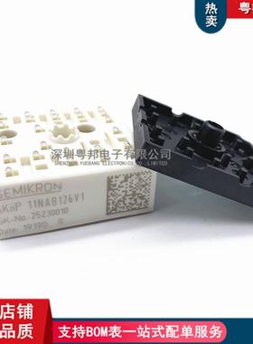 SKIIP11NAB126V1SKIIP13AC126V1SKIIP10NAB12T4V1IP11NAB063T1