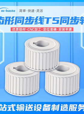 艾姆华世特MT400双列多列同步带线配套线体同步轮T5250