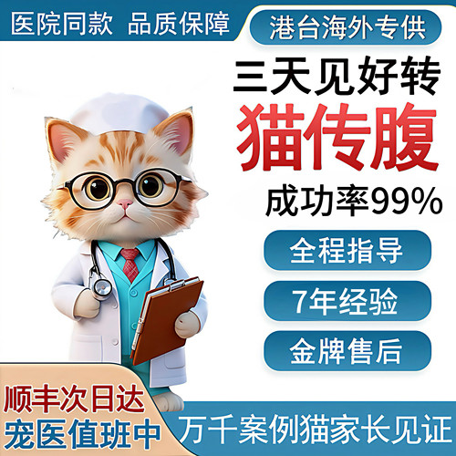 猫传腹针剂两天见好转五天消腹水