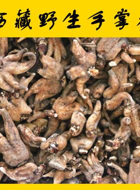 西藏特产手YZX参掌佛手掌参 手参佛 参手儿参