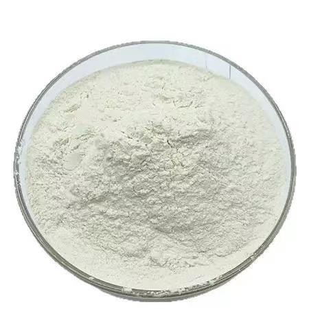 物%白芸豆提取白白芸豆粉菜豆素2 10:FPM1速溶芸豆粉