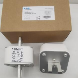170M6013 170M6014 170M6015 170