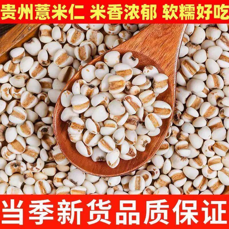 贵州正宗薏米仁农家新货薏仁米可搭配赤小豆煮粥五谷杂粮批发