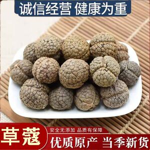 低价冲量草寇正宗草豆蔻草寇香料批发草蔻草扣飞雷子老蔻香料卤料