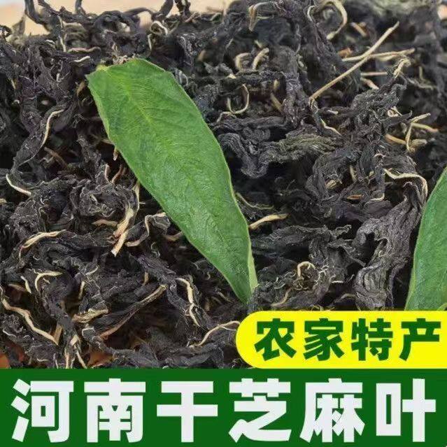 河南特产芝麻叶干菜新鲜嫩叶豆面条糊涂面免洗农家芝麻菜商用家用