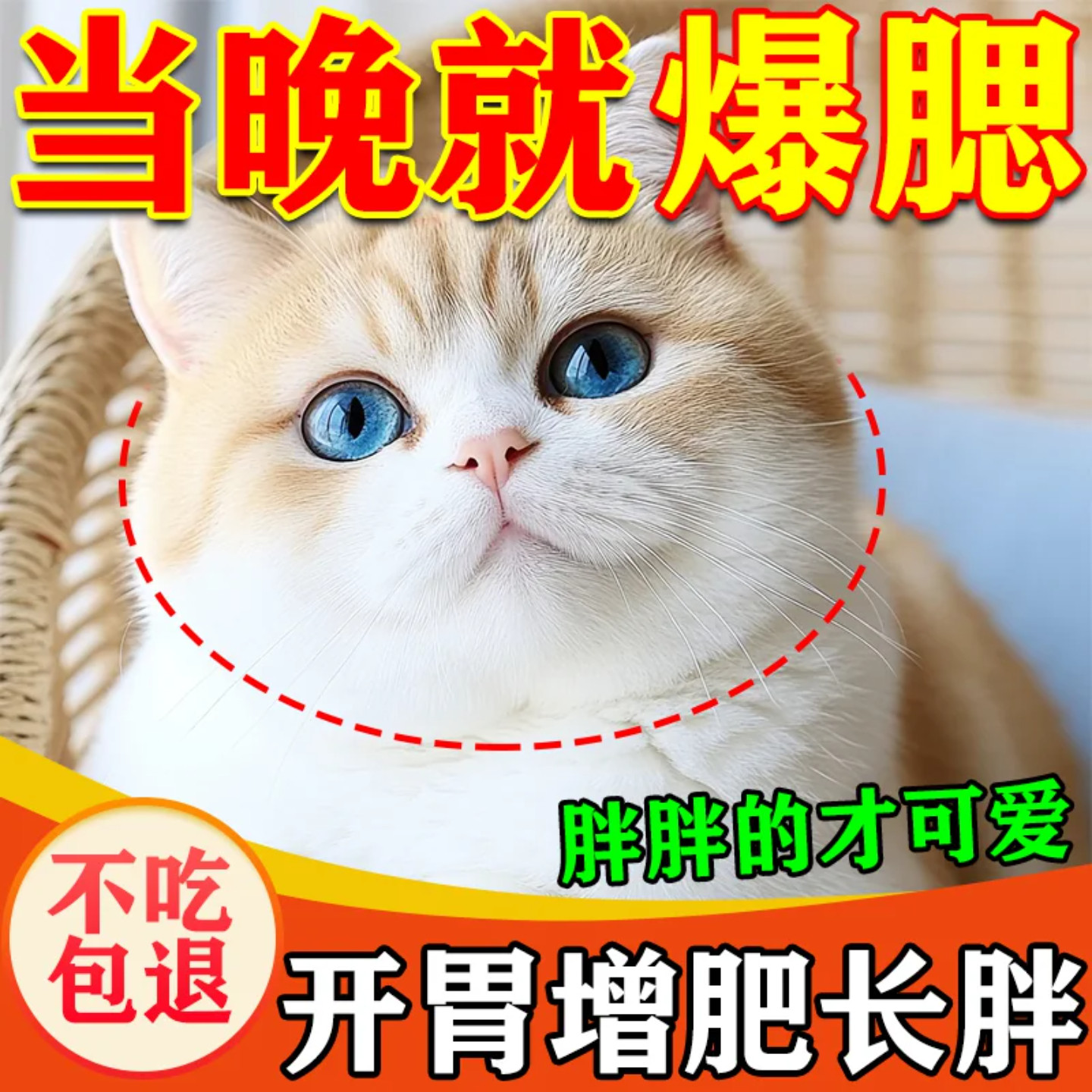 猫咪增肥发腮营养品补充剂快速长肉增胖专用神器开胃助消化爆腮粉
