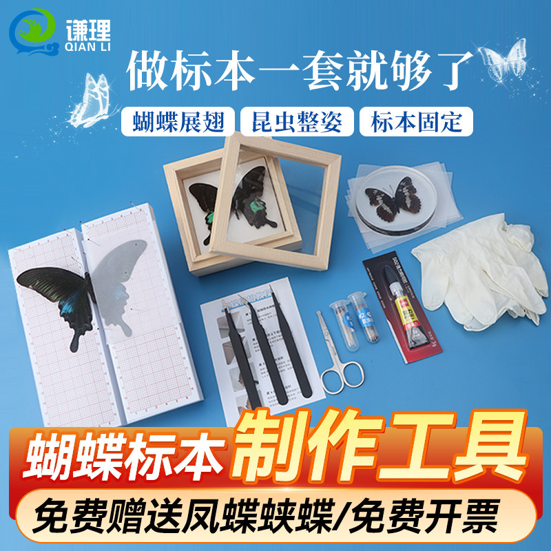 蝴蝶标本制作工具全套装手工diy材料昆虫针展翅板标本盒生物科学,玩具/童车/益智/积木/模型,科学实验,淘宝优惠券,粉丝福利购,淘宝优惠卷