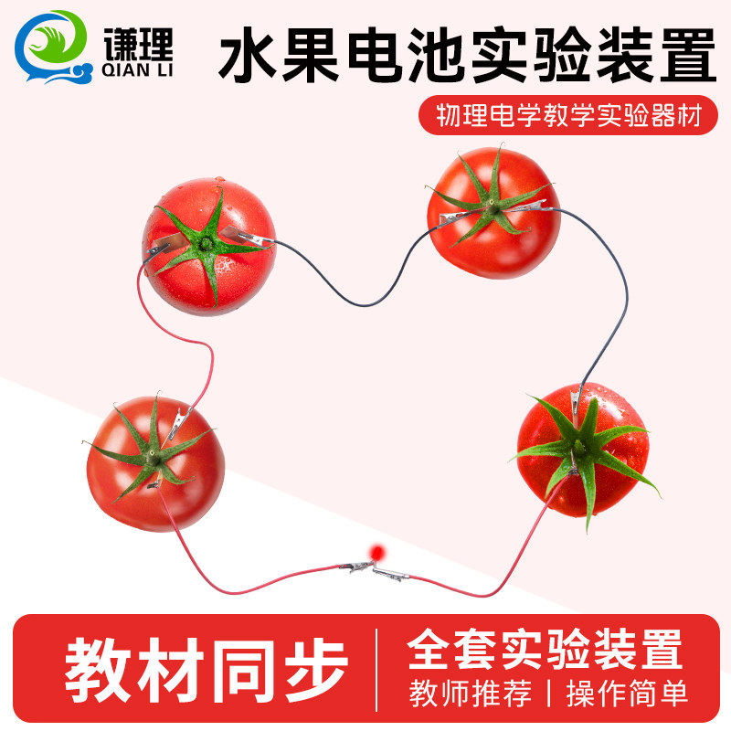 物理科学自制水果电池材料包装置铜片锌片电极组装led灯小学儿童发明材料包diy手工小制作小发明实验盐水可乐