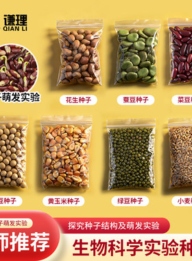 生物中考实验教学种子萌发实验用