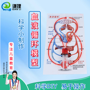 人体血液循环系统模型认识血液循环人体器官物理生物diy科技小制作科学实验器材小学生儿童小发明学具材料包