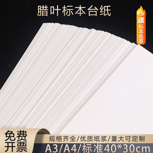 标本台纸腊叶植物标本纸普查A3A4