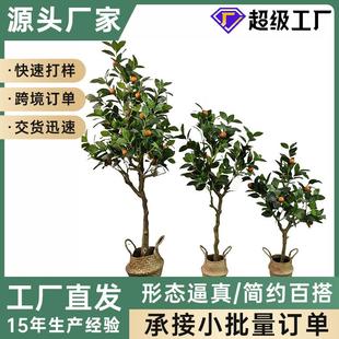 仿真橘子树仿真植物带果金桔树盆栽 北欧风格ins人造塑料橘子树