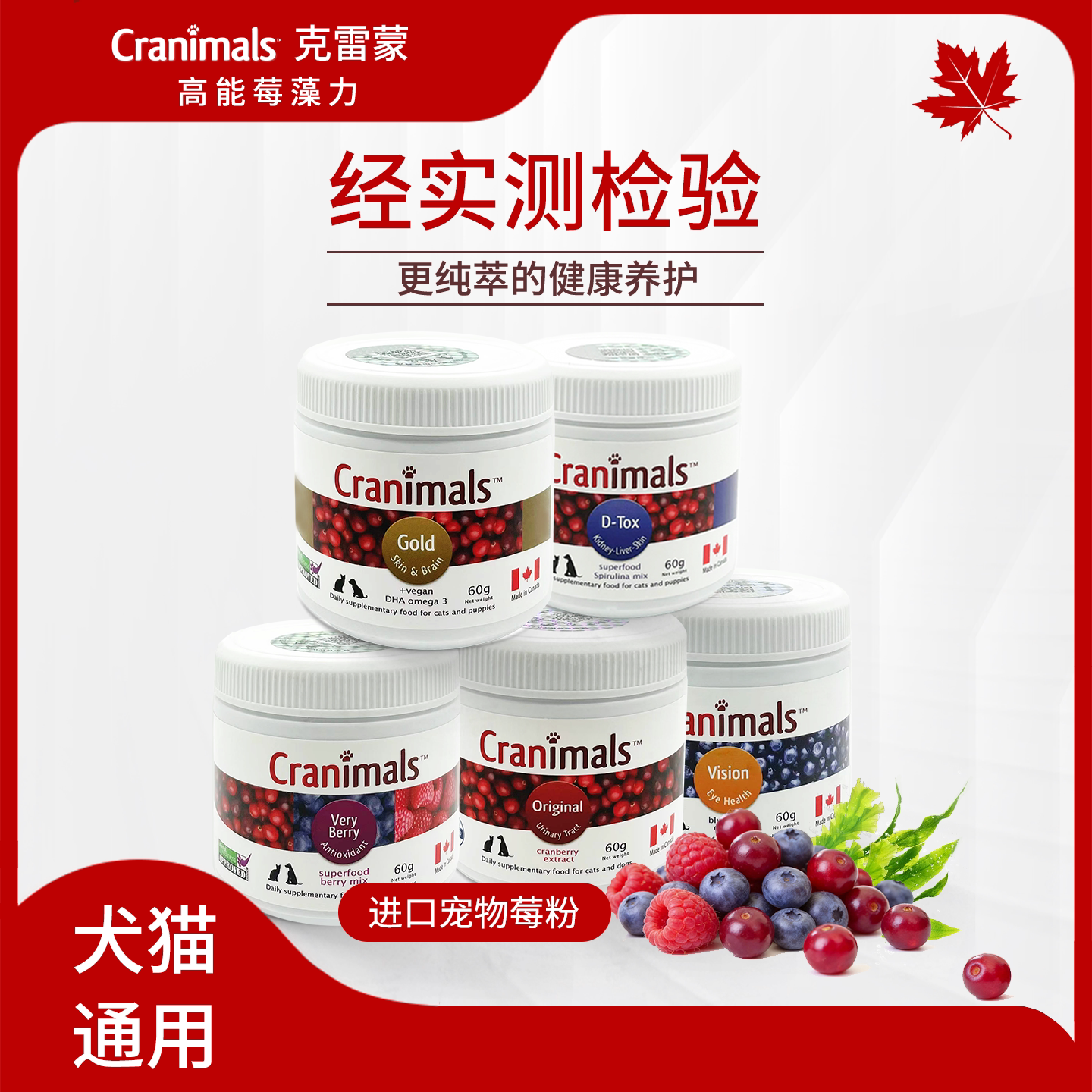 克雷蒙宠物经检蔓越莓粉