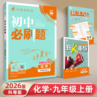 【九年级化学】必刷题九年级上下册人教版科粤版鲁教版化学必刷题同步辅导资料初中九上九下沪教版初三化学同步练习册
