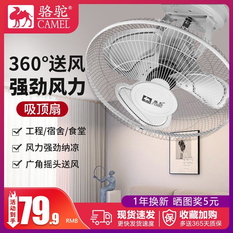 骆驼吸顶扇楼顶扇家用吊扇客厅吊