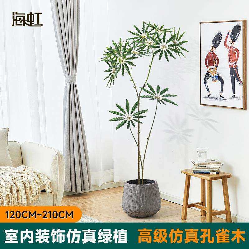 哇噢包邮仿真孔雀木盆栽落地装饰客厅假树室内软装假绿植高级感