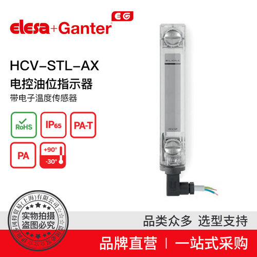 伊莉莎冈特电控油位指示器