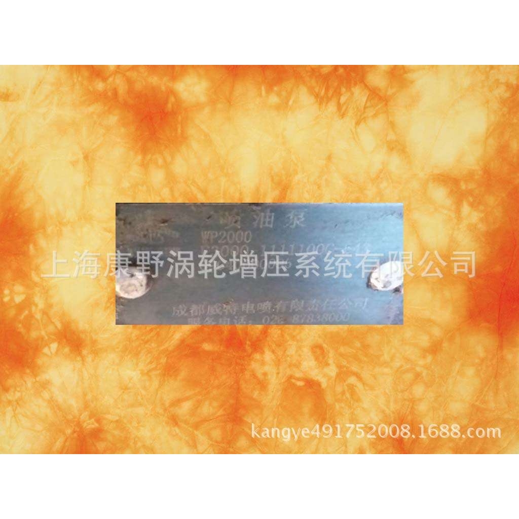 玉柴原装成都威特喷油泵总成 WP2000 E3000-1111100C-543