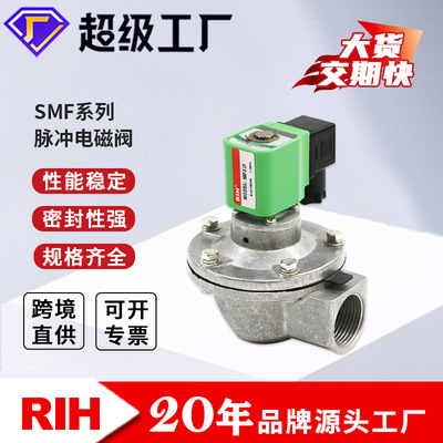 RIH瑞亨SMF淹没式脉冲电磁阀SMF-Z-20/25/62S气动阀门厂家直销