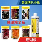和两字小鱼瑚粮全大海两只小鱼珊洋雪调剂