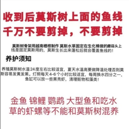 鱼缸造景全套生态鱼缸装饰造景水生植物鱼缸造景套装成品鱼缸树