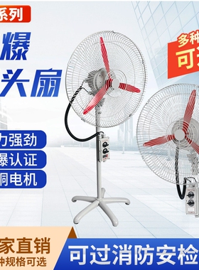 防爆摇头扇FB/BTS-500落地式600扇380V壁式750工业电风扇220V牛角