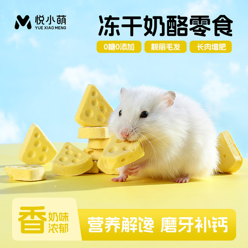 仓鼠零食营养奶酪金丝熊磨牙棒