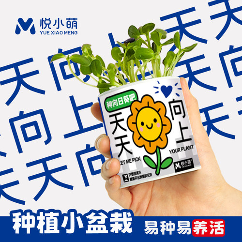 情绪稳定小盆栽种植罐头办公室内桌面懒人绿植含羞草驱蚊植物盲盒