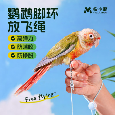 鹦鹉牵引绳外出专用放飞遛鸟绳子