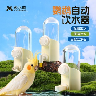 悦小萌鹦鹉饮水器鸟用撞针水壶虎皮牡丹玄凤小太阳自动喂水喝水器