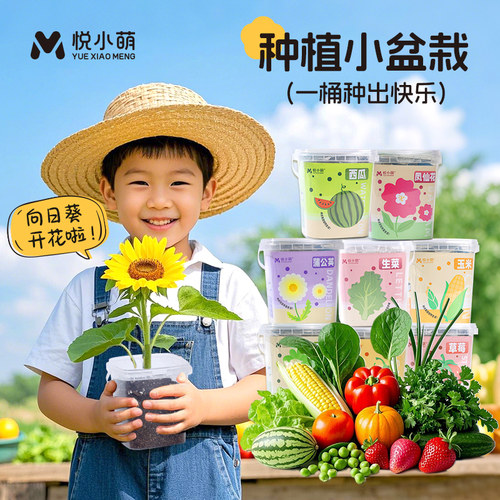 儿童种植小盆栽植物生长观察盒