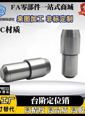 锥形 定位 台阶 菱形 大头销 YBP YBR01 02 03 05 06 08-D2 D3 D5