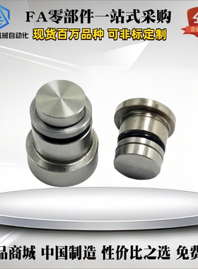 直线导轨用定位销LLT3.5 LLT5 LLTS5偏心销ICE11-T5不锈钢LLTA5