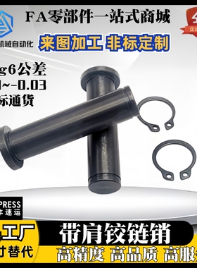 卡簧销轴 带肩铰链销 MIC01 MIC11 HCCG HCDG4 5 6 8 10 12 15 20