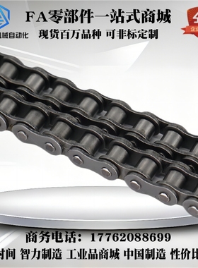 VMK01 02 03 21 22-60链条VMG01/02/03/21-50-4 6 10 20 30 40-A