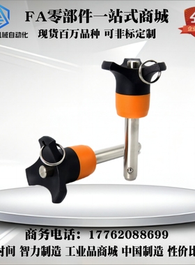 球头锁紧销顶出式BLP5 6 8 10 12 16-10 15 20 25 30 40 50 60 80