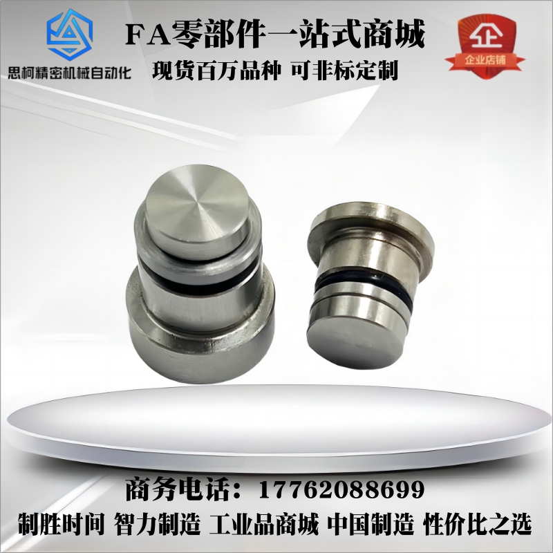 直线导轨用定位销LLT3.5 LLT5 LLTS5偏心销ICE11-T5不锈钢LLTA5