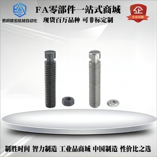 FFH01-D3/D4/D5/D6-L10/L15/L20/L25/L35/L45 拉伸弹簧支柱